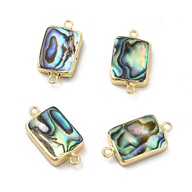 Natural Paua Shell Connector Charms, with Brass Double Loops, Rectangle Links