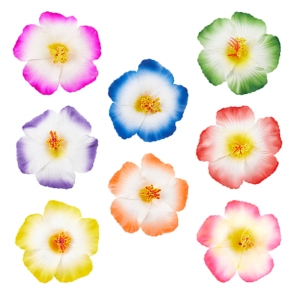 8 pièces 8 couleurs fleurs eva alligator accessoires pour cheveux, pinces à cheveux de griffe en alliage, or