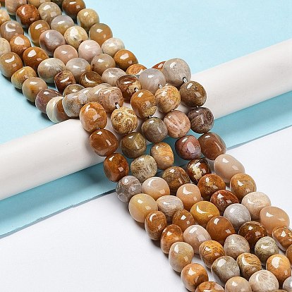 Natural Fossil Coral Beads Strands, Nuggets Tumbled Stone