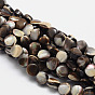 Dyed Natural Sea Shell Flat Round Bead Strands