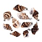 Brass & Natural Spiral Shell Big Pendants, Conch Charms, Platinum