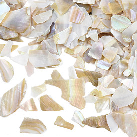 Natural Abalone/Paua Shell Cabochons, Nail Art Decorations, Manicure DIY Decoration, Nuggets