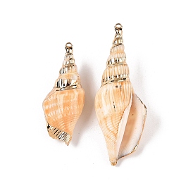 Natural Conch Shell Big Pendants, Shell Shaped Charms with Golden Tone Iron Loops