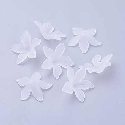 Transparent Acrylic Beads, Frosted, Clear, Flower