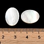 Natural White Shell Cabochons, Flat Oval