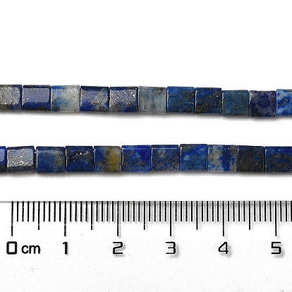 Natural Lapis Lazuli Beads Strands, 2-Hole, Square