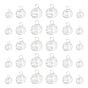 30Pcs Lantern Iron Wire Pendants Set, with 1pc Silver Polishing Cloth, Spiral Bead Cage