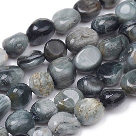 Natural Hawk's Eye Beads Strands, Eagle Eye Stone, Nuggets, Tumbled Stone