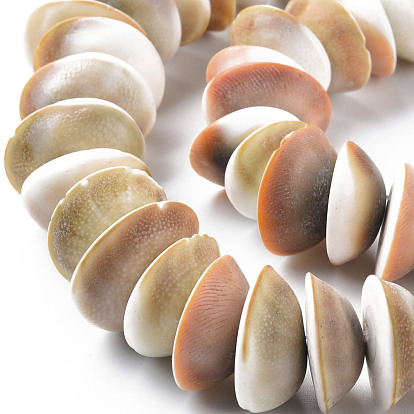 Chapelets de perles de coquillage naturel, demi-tour