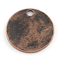 Тибетский стиль плоские круглые литые подвески, без кадмия и без свинца, 24x1.5 мм, Отверстие : 2.5 мм , около 282 шт / 1000 г