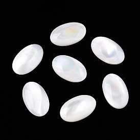 Natural White Shell Cabochons, Oval