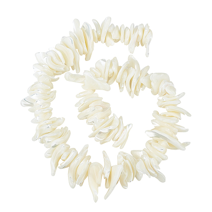 Natural Shell Beads Strands, Nuggets Chips