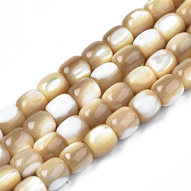 Нити из натуральной раковины трохида/бусины трохуса, баррель