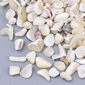 Sea Shell Beads, Undrilled/No Hole Beads, Chip