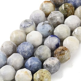 Natural Sodalite Beads Strands, Star Cut Round Beads