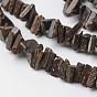 Natural Coconut Triangle Bead Strands, 8~9x8~9x2~5mm, Hole: 1mm, about 110pcs/strand, 15.4 inch
