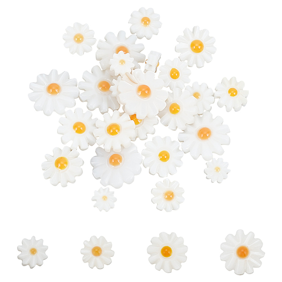 24 шт 4 стили натуральные пресноводные бусины из ракушек, с эмалью, цветок