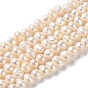 Natural Cultured Freshwater Pearl Beads Strands, Potato, Grade A+
