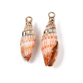 Natural Sea Shell Pendants, Shell Shaped Charms with Golden Tone Iron Loops