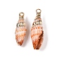 Подвески натурального морских раковин, подвески в форме ракушек с золотистыми железными петлями