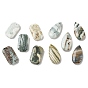 Natural Indian Green Line Jasper Pendants, Geometric Charms