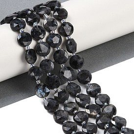 Natural Larvikite Beads Strands, Faceted Pentagonal Cut, Flat Round, with Seed Beads