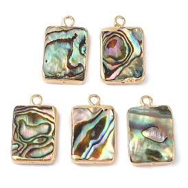 Natural Paua Shell Pendants, Rectangle Charms with Brass Edge