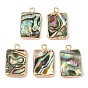 Natural Paua Shell Pendants, Rectangle Charms with Brass Edge