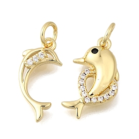 Латунные микро проложить кубического циркония подвески, прелести дельфинов, стойки покрытие, прочное покрытие, без кадмия и без свинца, с целью перехода в кольце