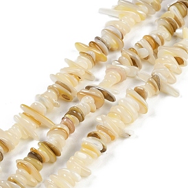 Natural Trochus Shell Beads Strands, Chip