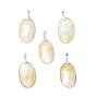 Natural Sea Shell Pendants, Oval Charms, with Platinum Plated Brass and Alloy Findings