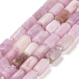 Natural Kunzite Beads Strands, with Seed Beads, Faceted Column