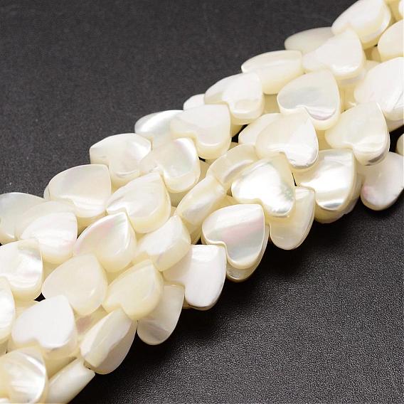 Natural Trochid Shell/Trochus Shell Beads Strands, Heart