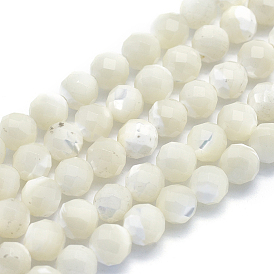 Natural White Shell Beads, Mother of Pearl Shell Beads Strands, Round, Faceted