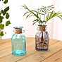 Стеклянные вазы, плантатор для гидропонных растений, украшения для домашнего экрана, колонка