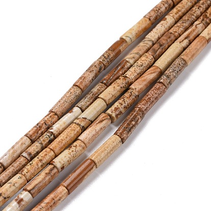 Natural Picture Jasper Beads Strands, Column