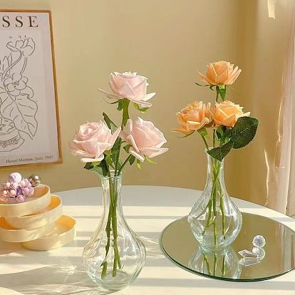 Transparent Glass Vase for Flower, Home Decoration Desktop Hydroponic Plant Bottle