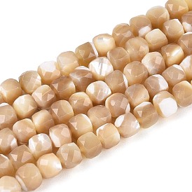 Натуральная оболочка из трохидных оболочек, кубические, граненые