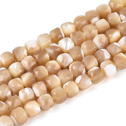 Натуральная оболочка из трохидных оболочек, кубические, граненые