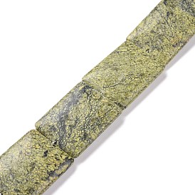 Natural Serpentine/Green Lace Stone Beads Strands, Rectangle