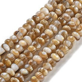 Natural Freshwater Shell Beads Strands, Rondelle