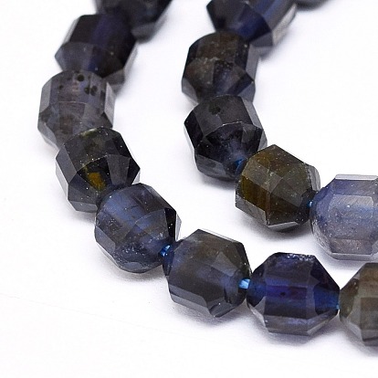 Natural Iolite Beads Strands, Faceted, Bicone, Double Terminated Point Prism Beads
