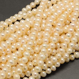 Brins de perles de culture d'eau douce naturelles, ronde, 5~6mm, Trou: 0.8mm, Environ 73 pcs/chapelet, 14.9 pouce