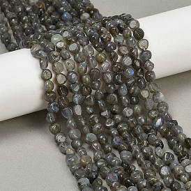 Природные лабрадорита бисер нитей, самородки, упавший камень