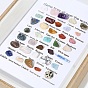 Natural Gemstones Nuggets Collections, Photo Frame Display Decoration, for Earth Science Teaching