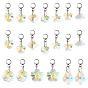 20Pcs 10 Style Glass European Dangle Charms, with 304 Stainless Steel Findings