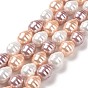 Electroplate Shell Pearl Beads Strands, Potato
