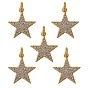 5Pcs Brass Micro Pave Clear Cubic Zirconia Pendants, Long-Lasting plated, Star