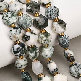 Natural Tree Agate Beads Strands, Hexagon, Faceted, with Seed Beads