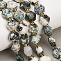 Natural Tree Agate Beads Strands, Hexagon, Faceted, with Seed Beads